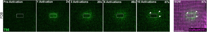 FIGURE 5: