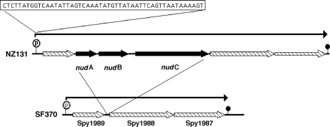 FIG. 5.