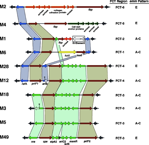 FIG. 4.