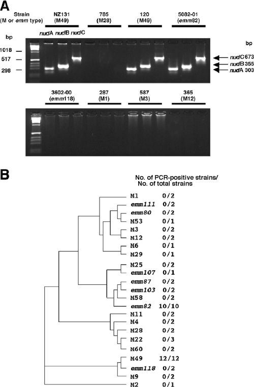 FIG. 6.