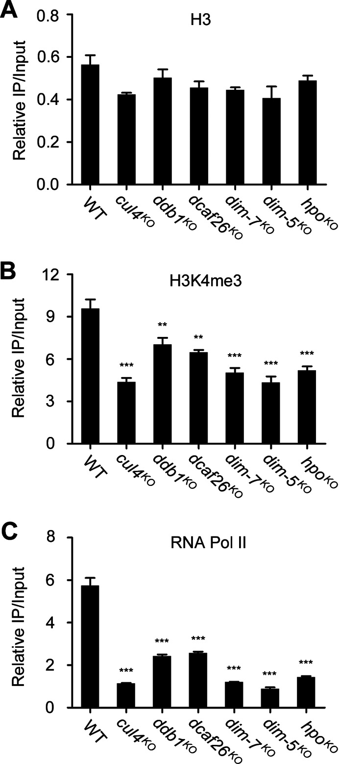 Figure 9.