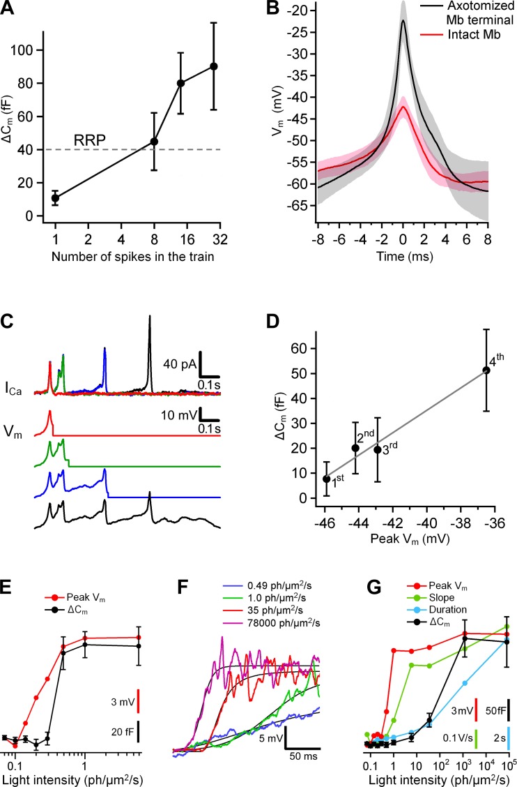 Fig. 10.