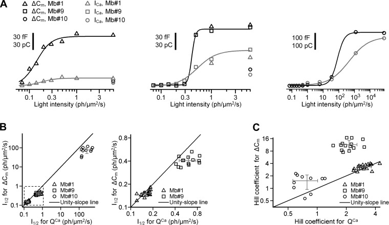 Fig. 8.