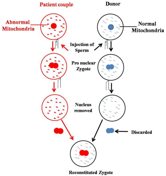 Figure 1