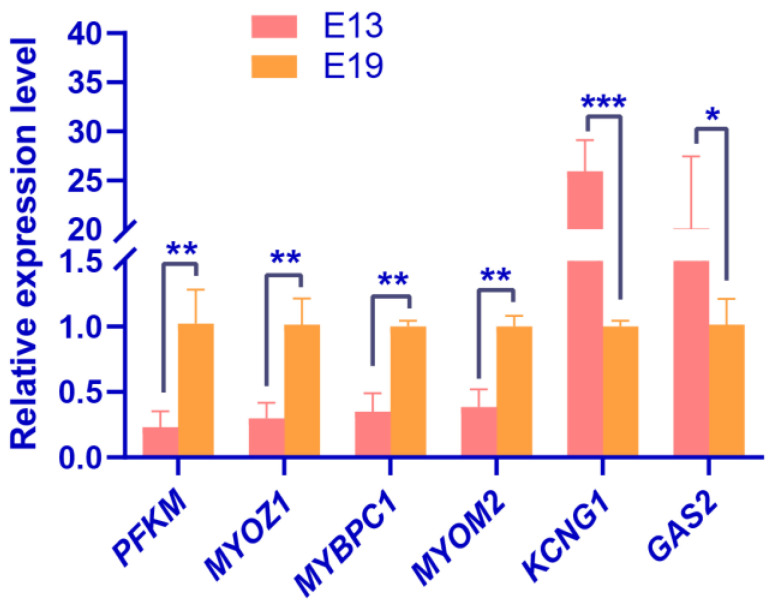 Figure 7