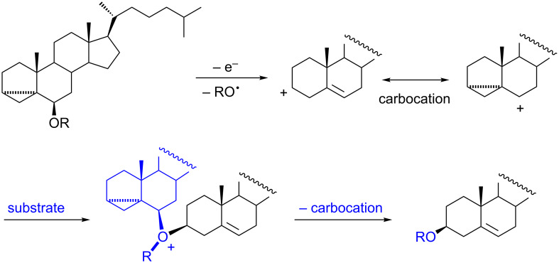 Scheme 3