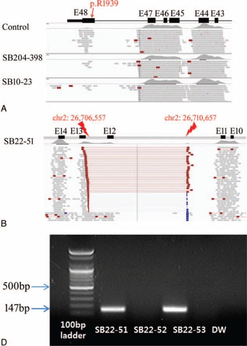 FIGURE 4