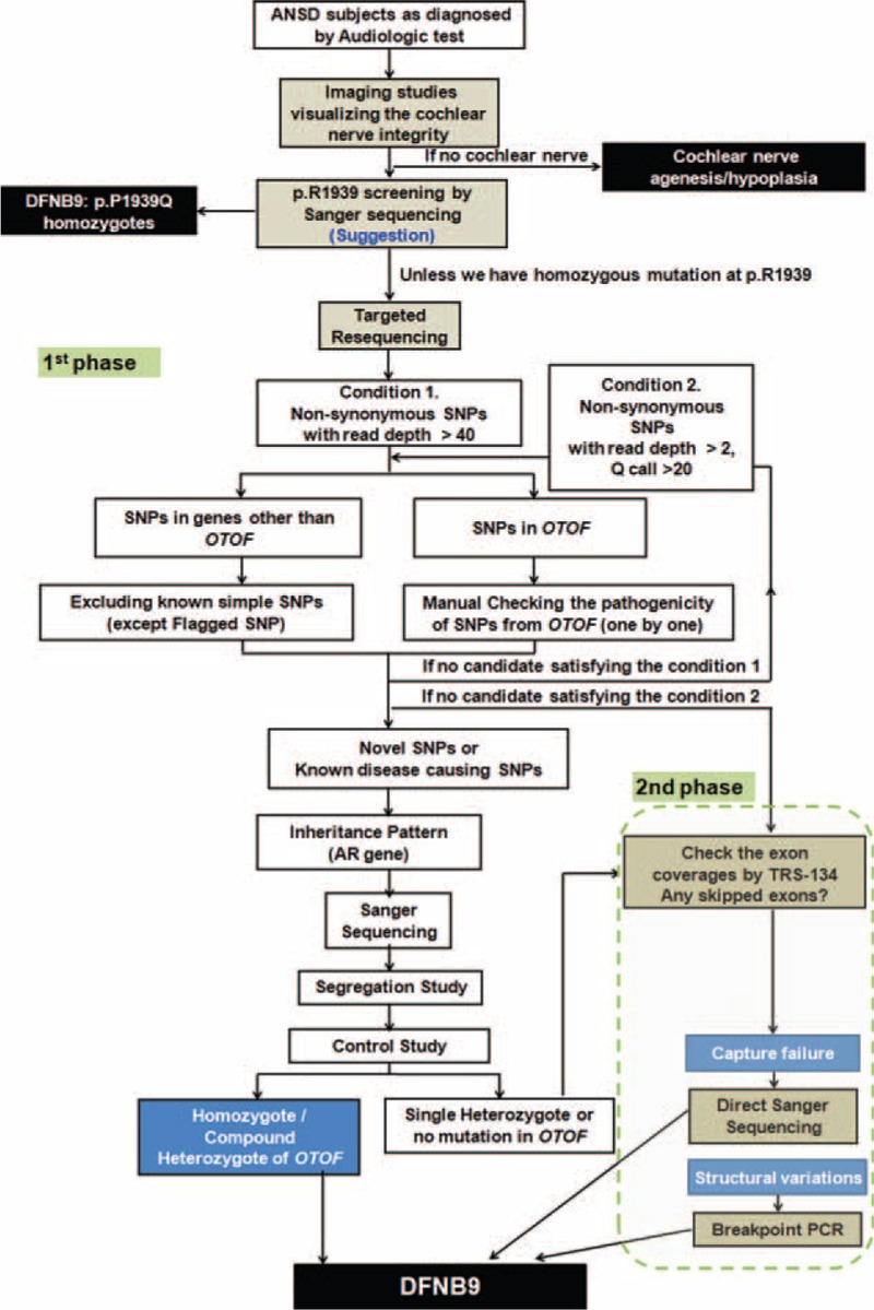 FIGURE 1