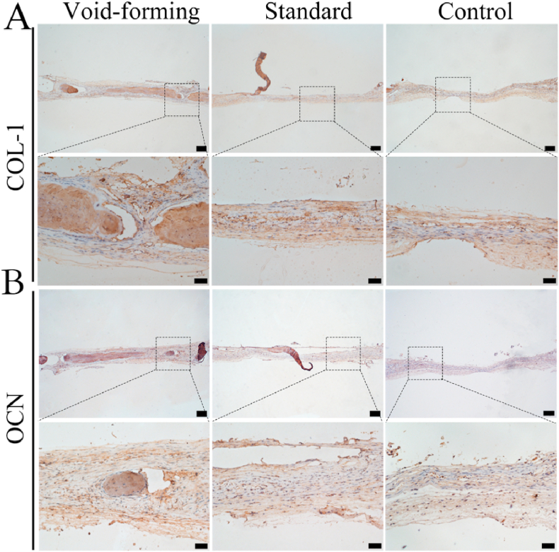 Fig. 6