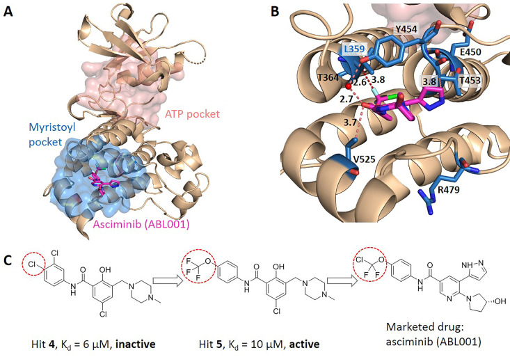 Figure 4.