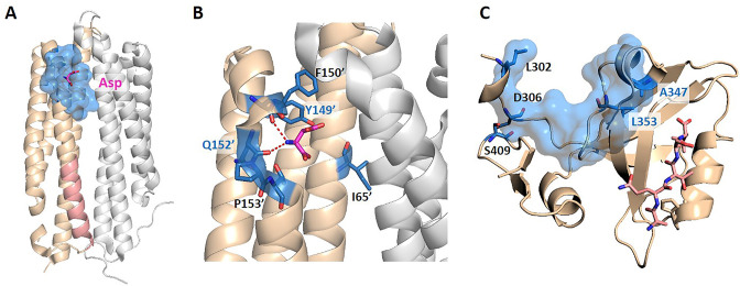 Figure 5.