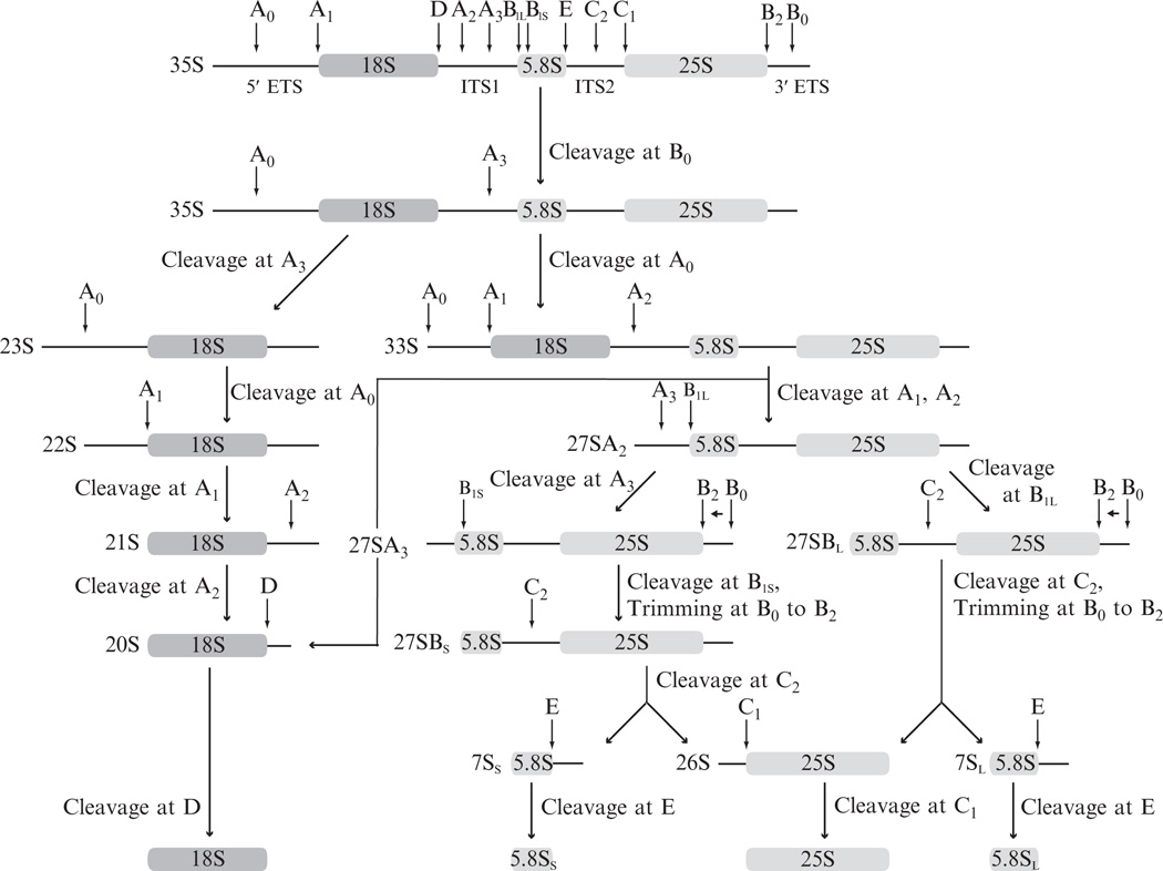 Figure 14.1