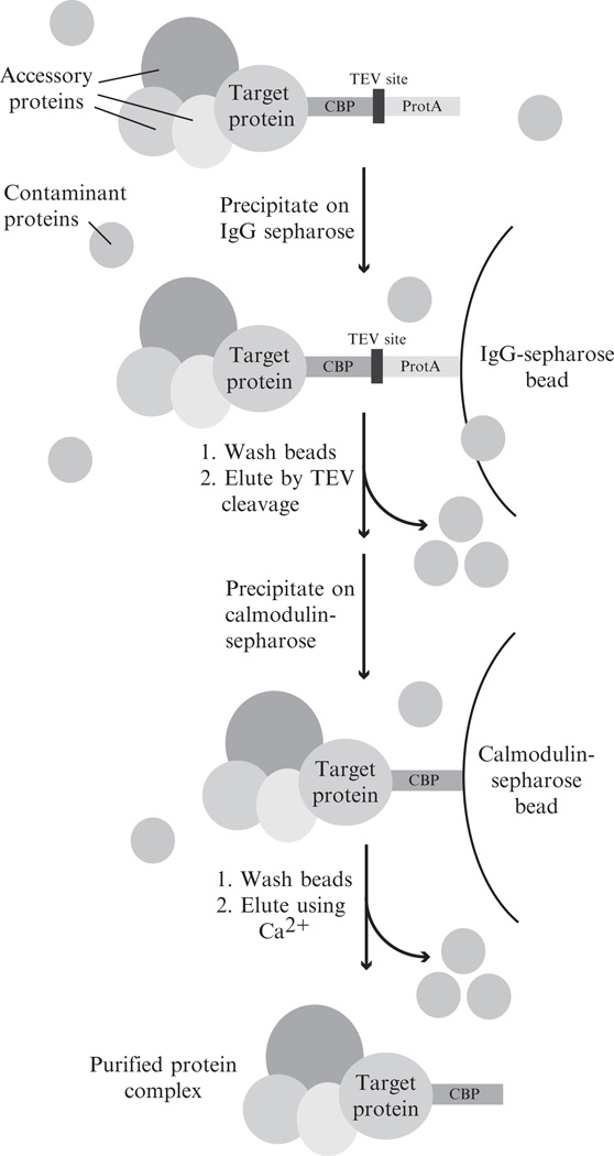 Figure 14.4