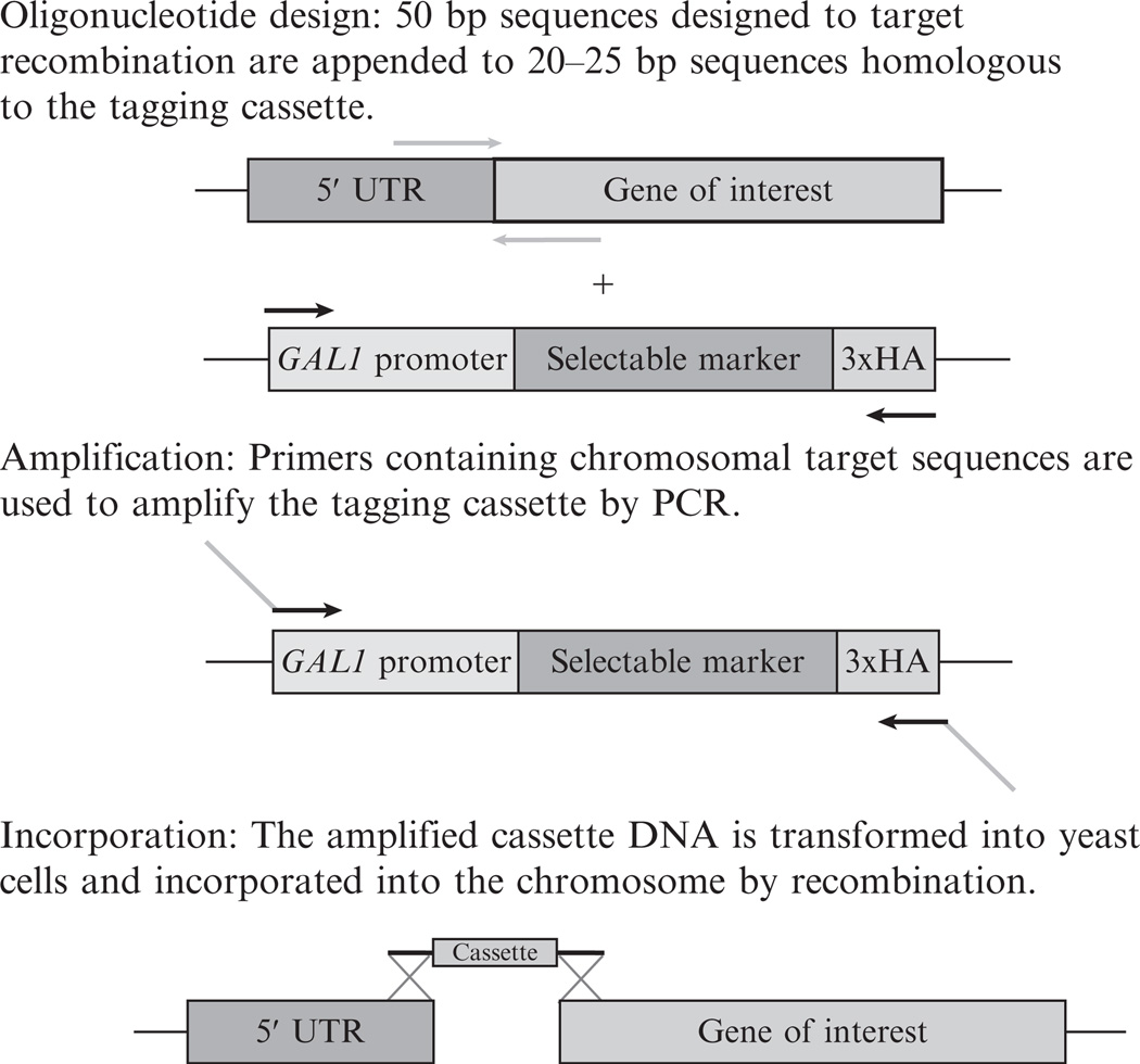 Figure 14.3