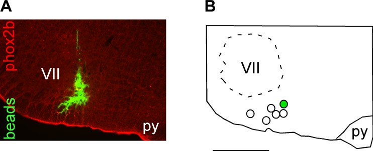 Fig. 4.