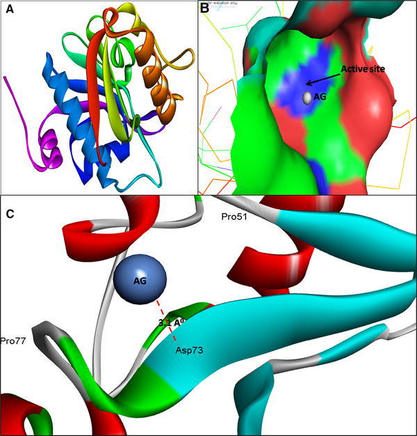 Fig. 1