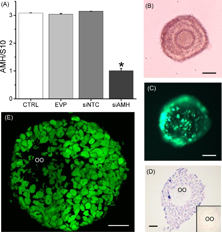 Figure 1.