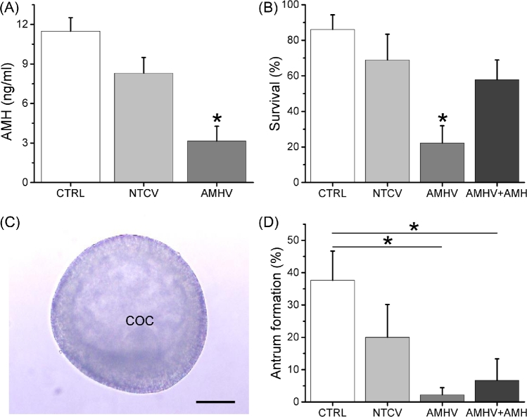 Figure 2.