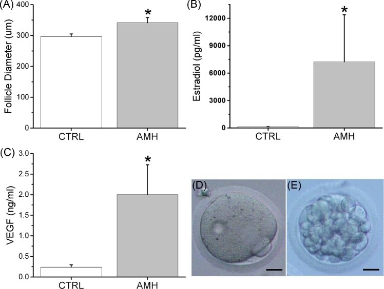 Figure 3.