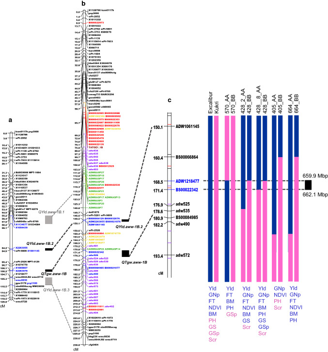 Fig. 3