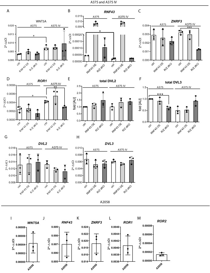 Figure 4—figure supplement 2.