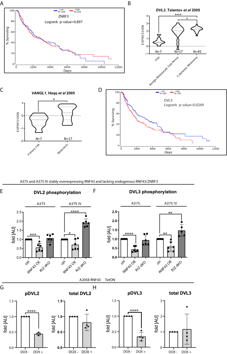 Figure 4—figure supplement 1.