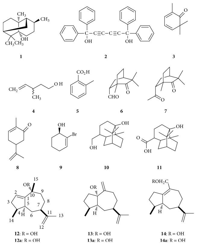 Scheme 1