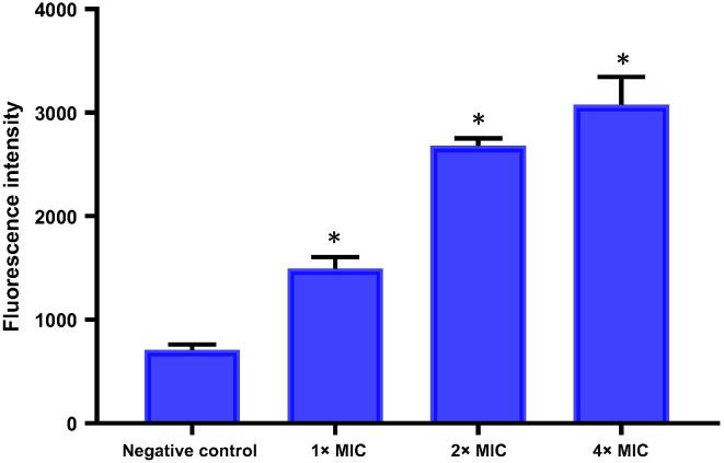 Fig. 2