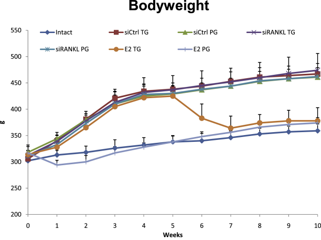 Figure 4