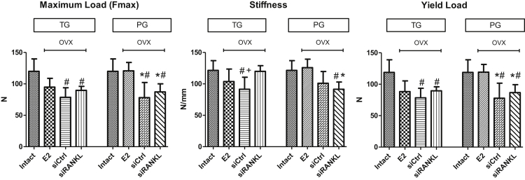 Figure 6