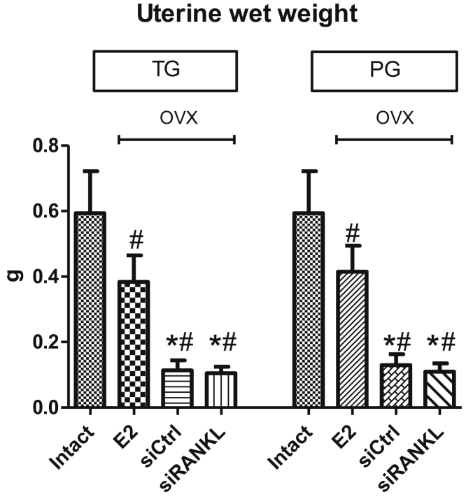 Figure 5