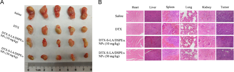 Fig. 11