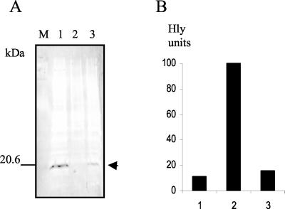 FIG. 3.