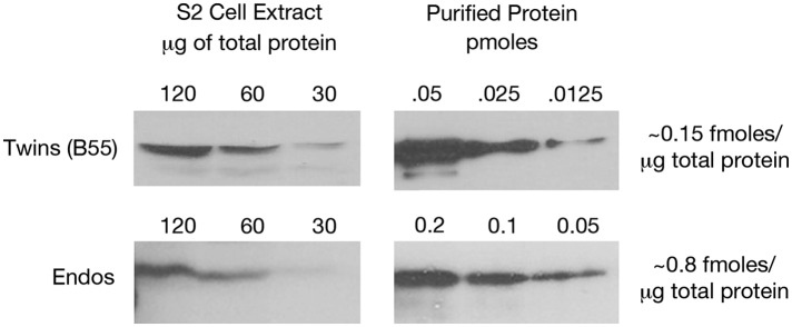 Figure 2—figure supplement 6.