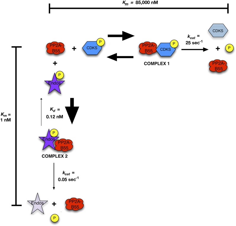 Figure 9.