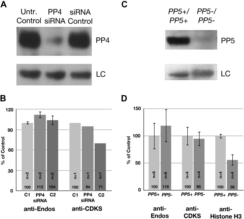 Figure 3—figure supplement 1.