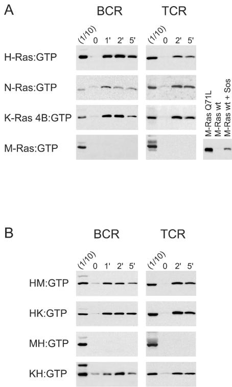 FIG. 5.