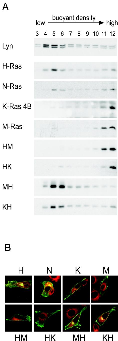 FIG. 2.