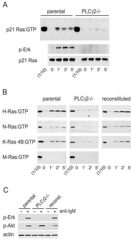 FIG. 6.