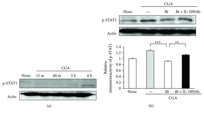 Figure 9