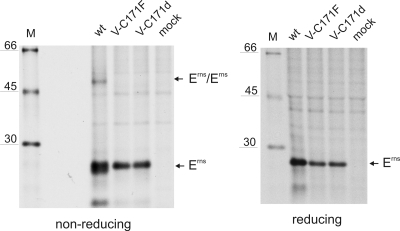 FIG. 5.