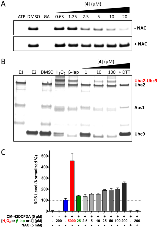 Figure 2.