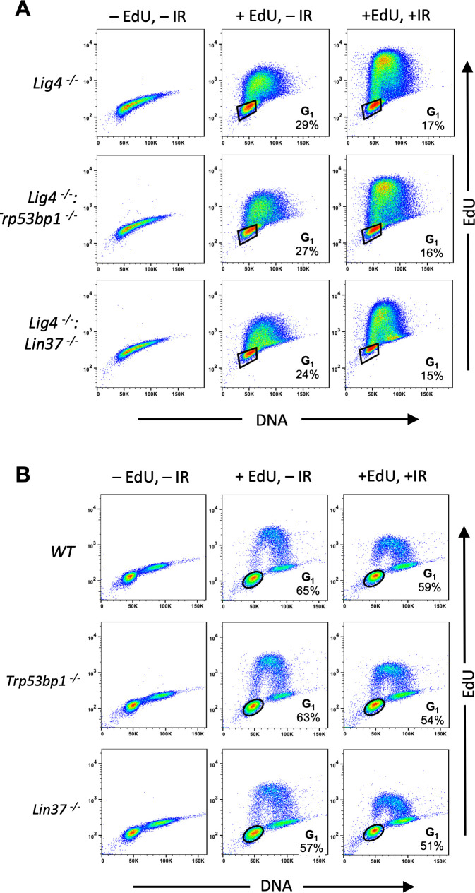 Figure 7—figure supplement 1.