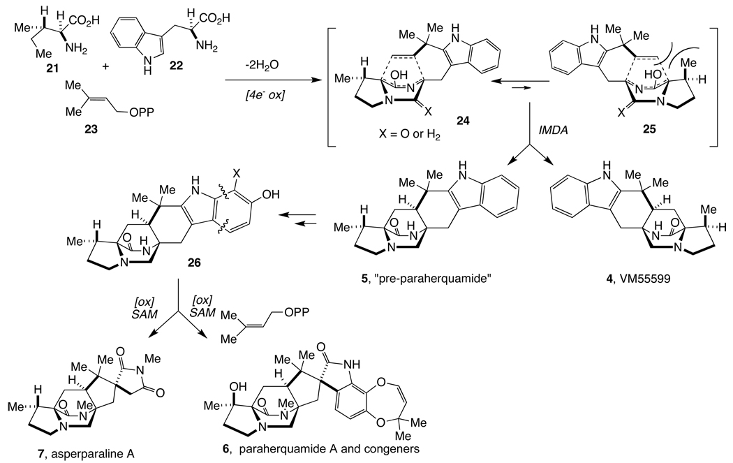 Scheme 2