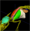 Fig. 8