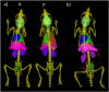 Fig. 7