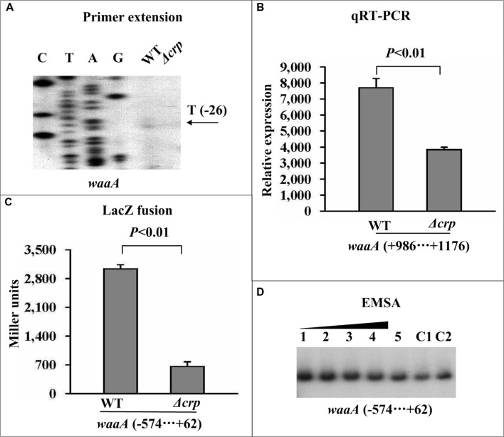 FIGURE 4