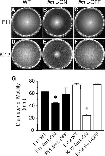 FIG. 5.