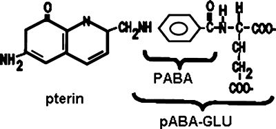 FIG. 1.