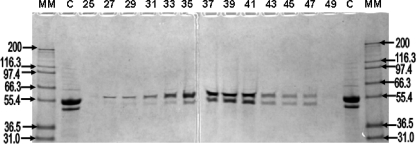 FIG. 6.